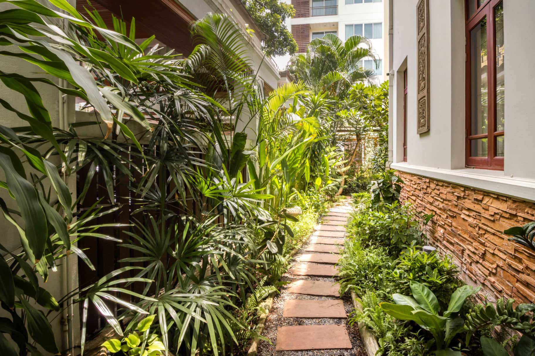 Healthi Life — tropical garden walkway leading to the house